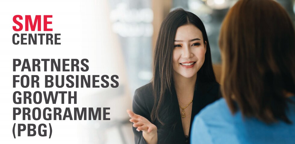 Partners for business growth programme